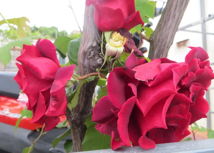 Appartement La Casa Gialla *